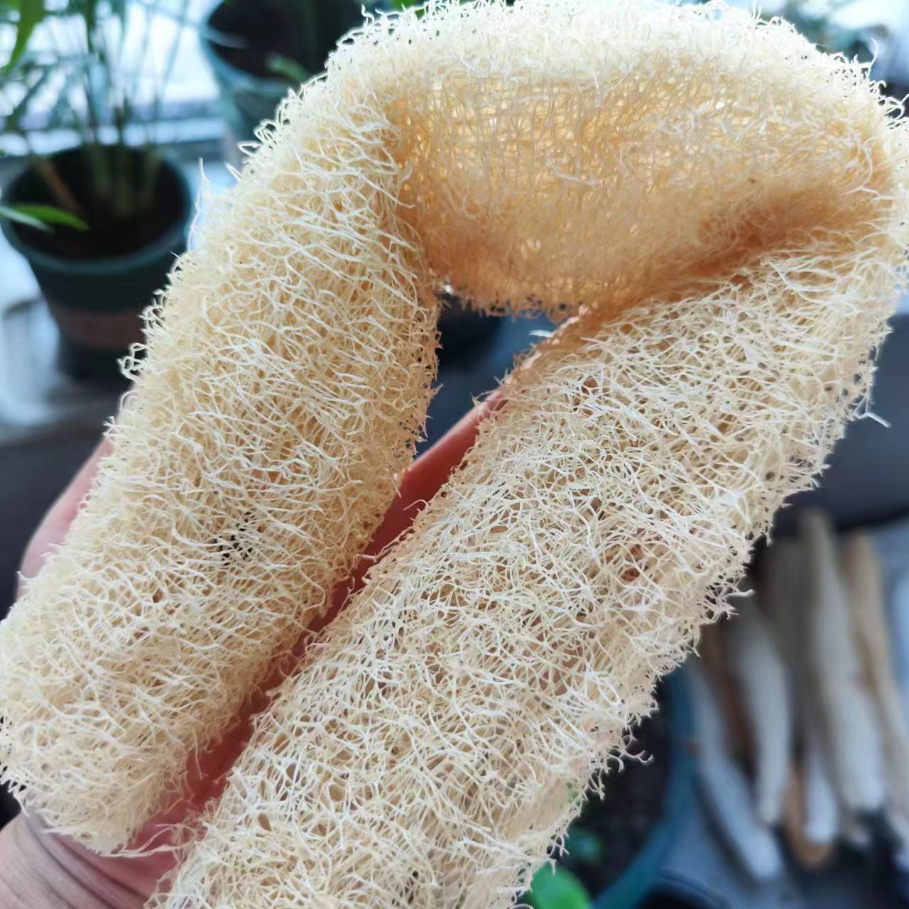 Body Loofah Natural - Wspaniała gąbka Loofah Wszechstronna od pielęgnacji