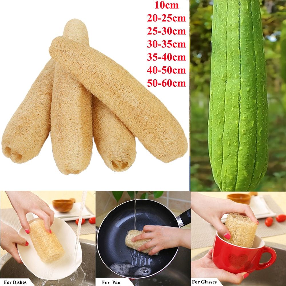 Naturalna gąbka luffa, długa,  – Body Loofah Natural recenzja i cena