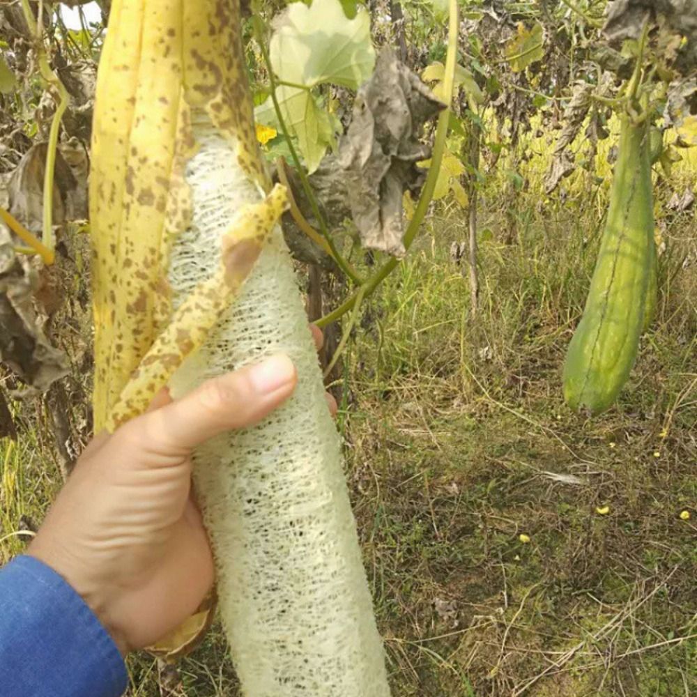 Naturalna gąbka luffa, długa,  – Body Loofah Natural recenzja i cena