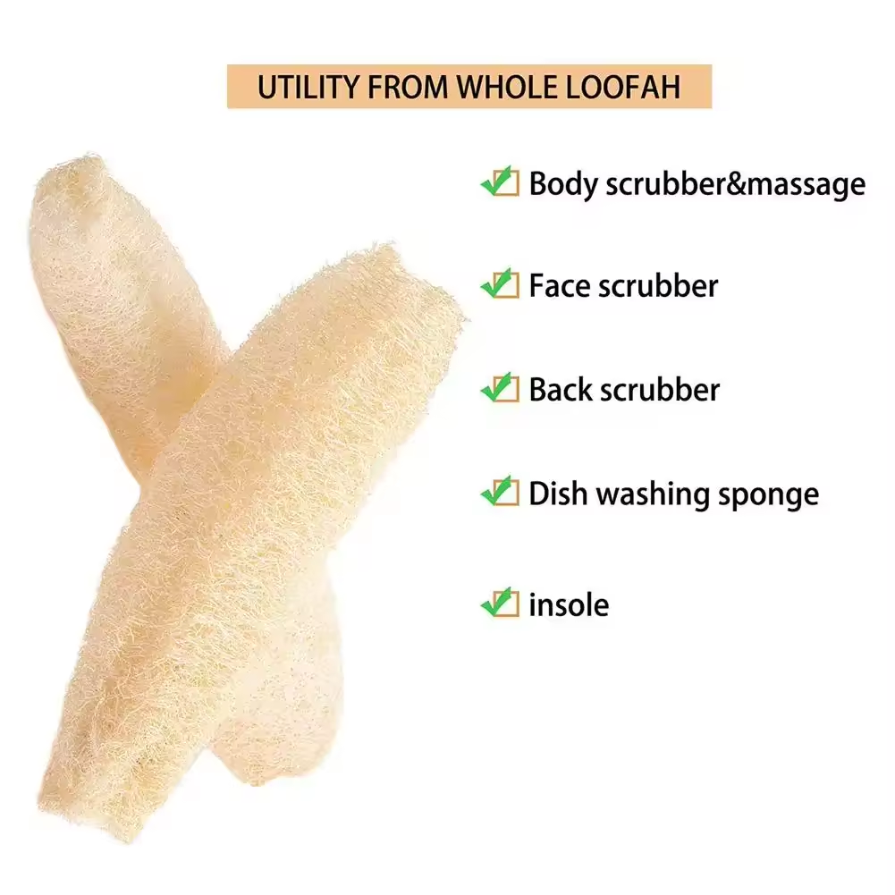 Naturalna gąbka lufa wielofunk – Body Loofah Natural recenzja i cena