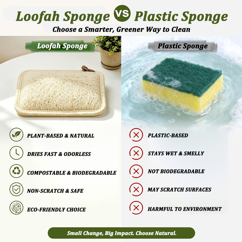 Naturalna gąbka z lufy wielokr – Body Loofah Natural recenzja i cena