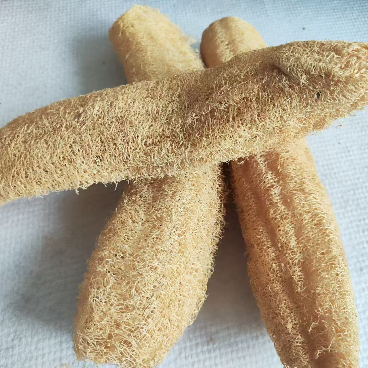 Wspaniała gąbka Loofah Wszechs – Body Loofah Natural recenzja i cena